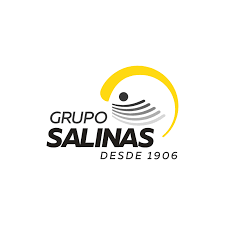 Logo de Grupo Salinas